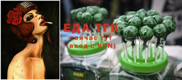 сатива Каменка