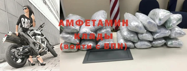 сатива Каменка