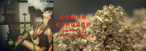 молекула духа Каменск-Шахтинский