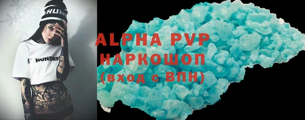 сатива Каменка
