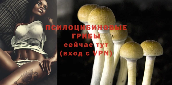 бошки Касимов