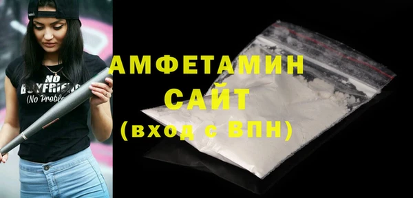 сатива Каменка