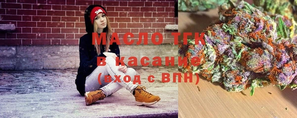 сатива Каменка