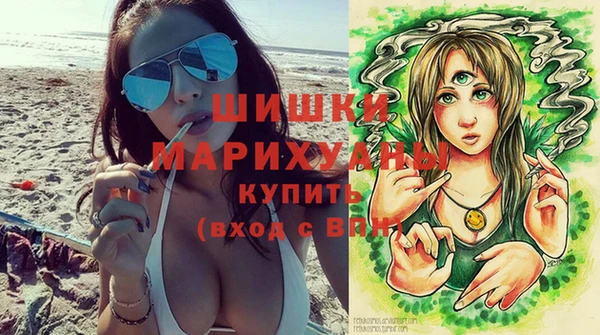 молекула духа Каменск-Шахтинский