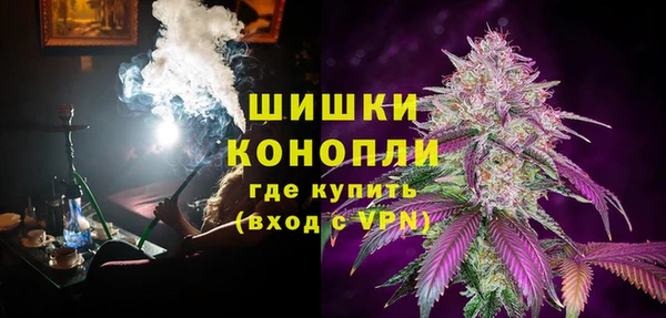 молекула духа Каменск-Шахтинский
