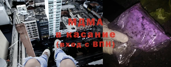 сатива Каменка
