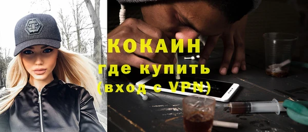сатива Каменка